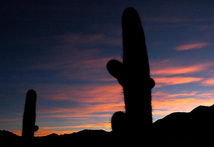 Estancia Colome モリノス エクステリア 写真