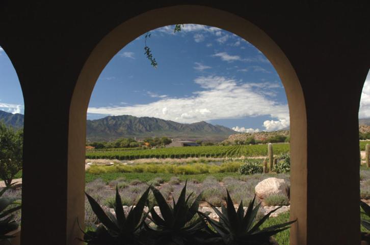 Estancia Colome モリノス エクステリア 写真