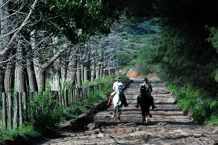 Estancia Colome モリノス エクステリア 写真