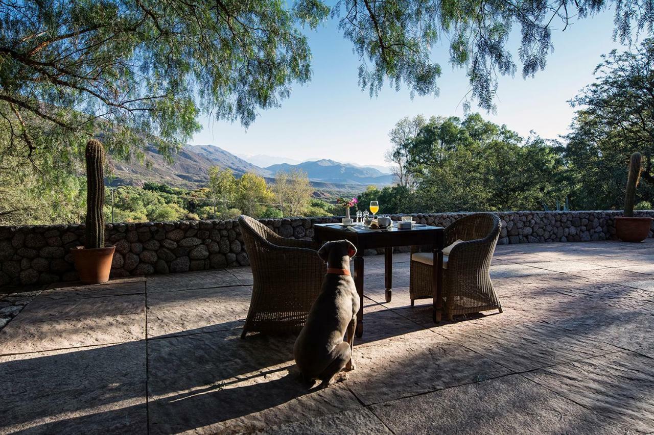 Estancia Colome モリノス エクステリア 写真